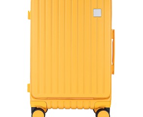 Prix usine Personnalisé Sacages Avant Ouverture Conception Étui de Voyage avec 360 ° Light Tone Roues Voyage Valise